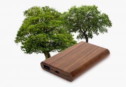 Wood - Powerbank